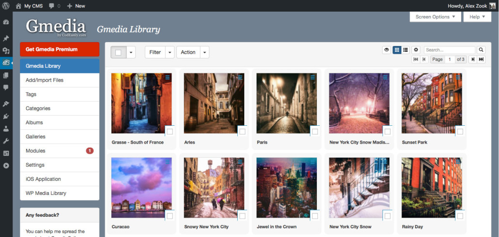 Install and Activate Gmedia Gallery Plugin