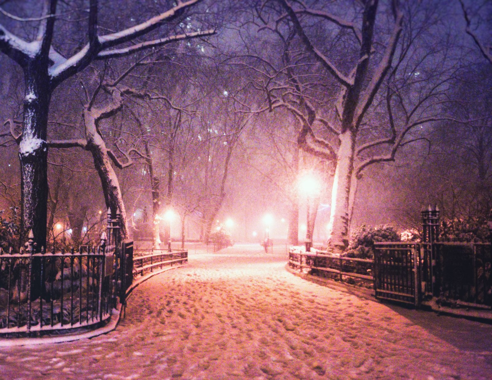 New York City Snow Madison Square Park