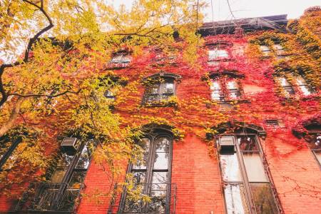 Autumn in New York City