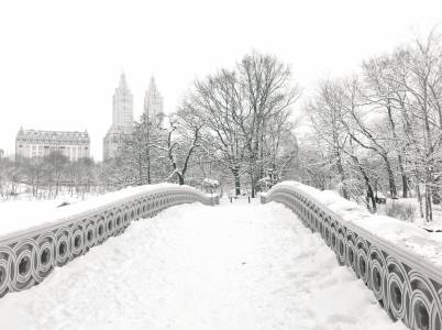 Central Park - Snow